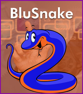 Bluesnake